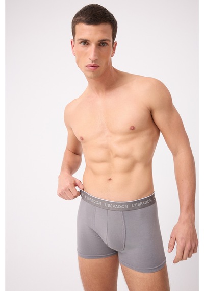 L'espadon Maritime Elite Koleksiyonu Elastik Konforlu Bel Bantlı Çizgili Erkek Trunk Boxer-3242 Gri