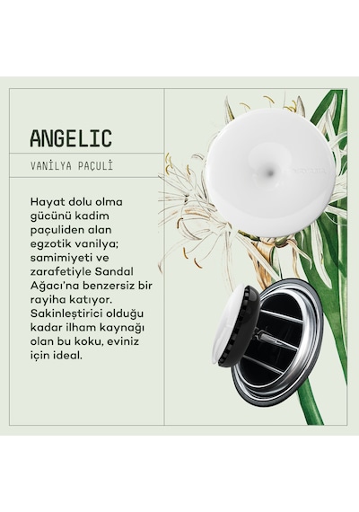 Vavana Araba Klima Kokusu Spin Oto Kokusu 3'lü Set