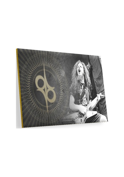 Cakasepetim Dimebag Darrell Elektrogitar Ahşap Mdf Tablo
