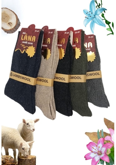 Miss Lana Ladies Socks Bayan Çorap 5 Çift Kışlık Yün Çorap Lambswool Özel Kuzu Yünlü Kadınlar İçin Termal Özellikli Siyah