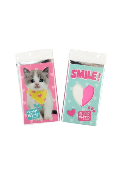 4 Adet Studio Pets Silgi Pt-131