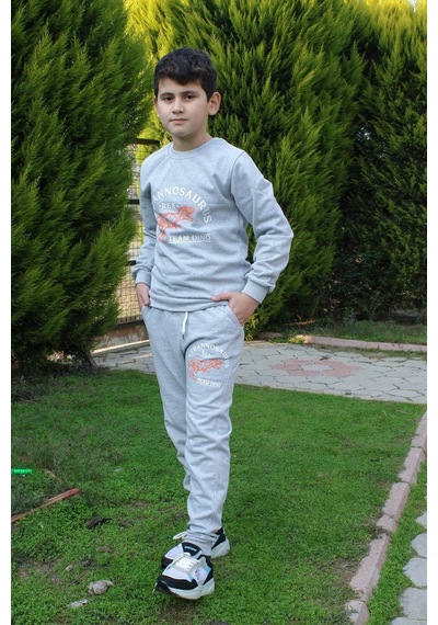 Fyk Kids Trex Baskılı Erkek Çocuk Alt-üst Eşofman Takımı Gri