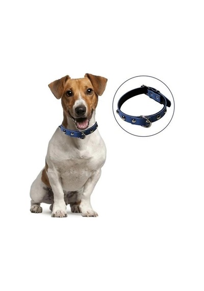 Durukar Yumuşak Dokulu Deri Köpek Gezdirme Boyun Tasması Large