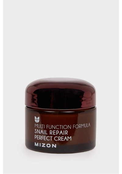 Defacto Mizon Snail Repair Perfect Cream Salyangoz Özlü Nemlendirici Yüz Kremi 50 ml H3448AXNS