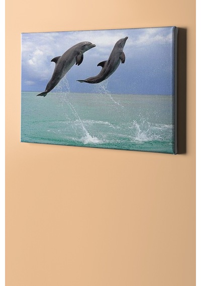 Webstyle Sayılarla Boyama Seti Kasnaklı Yunusların Selamı 40 X 50 Cm