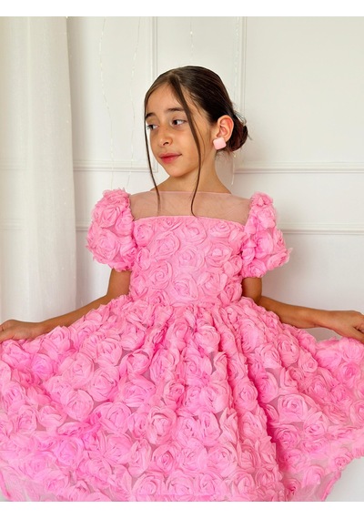 H L Y Karol Tasarım Pembe Güllü Diana Vintage Kız Bebek Elbise,doğum Günü Elbise,fotoğraf Çekim Elbise,0-12 Yaş Uygun Pembe