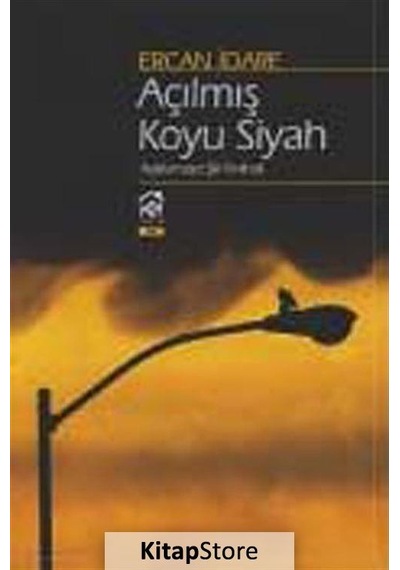 Açılmış Koyu Siyah - Ercan İdare - Kurgu Kültür