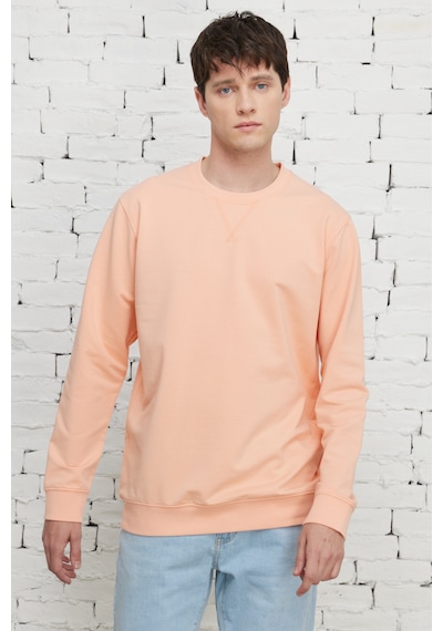 AC&Co / Altınyıldız Classics ERKEK YAVRUAGZI Standart Fit Normal Kesim Bisiklet Yaka Sweatshirt Yavruağzı AC&Co / Altınyıldız Classics ERKEK YAVRUAGZI Standart Fit Normal Kesim Bisiklet Yaka Sweatshirt Yavruağzı