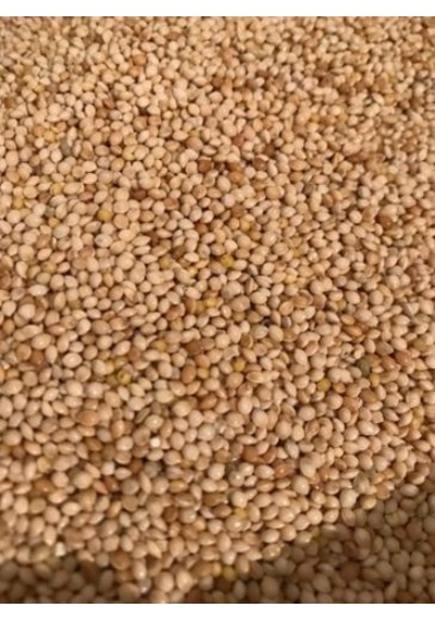 Ak Darı 1  Kg