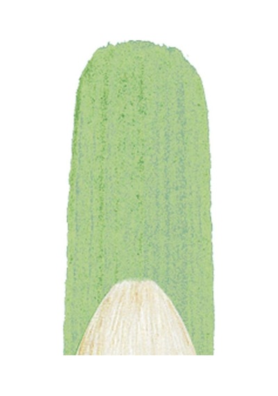 Winsor &amp Newton 5976703 Winton Filbert Fırçası- No.3-6,5 Mm, Yağlı Boya, Akrilik Boya Ve Alkid Boya İçin