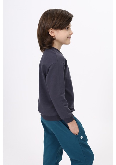 Toontoy Kids Toontoy Erkek Çocuk Relax Fit Bisiklet Yaka Hafif Düşük Omuz Baskılı Sweatshirt - 2 İplik Füme Toontoy Kids Toontoy Erkek Çocuk Relax Fit Bisiklet Yaka Hafif Düşük Omuz Baskılı Sweatshirt - 2 İplik Füme