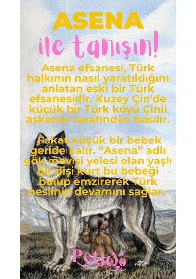 Petjoo 25.Asena Pembe-Sarı Qr'lı Köpek Künyesi