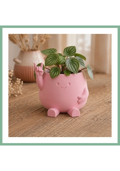 Bşkvirgo 3d Baskı Smiley Face Planter - Gülümseyen Karakterli Saksı-pembe Bsk2026 Standart