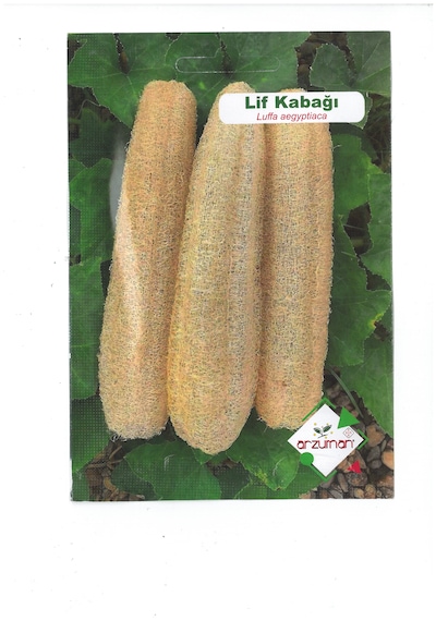 Yerli Ata Lif Kabağı Tohumu Kabak Tohumu10 Adet