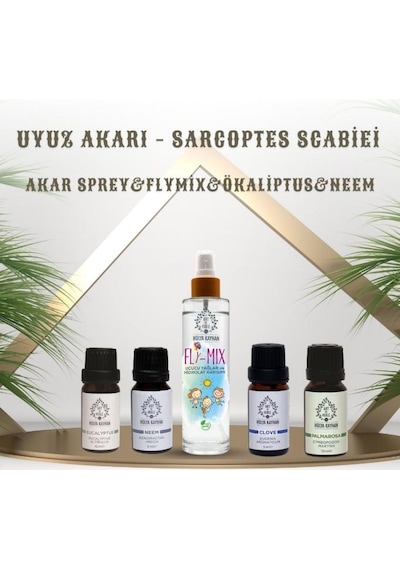 Art De Huile By Hülya Kayhan Fly-Mix Vücut Spreyi Uyuz Akarı Seti