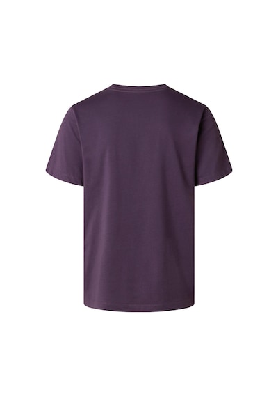 The North Face M Evolutıon Sımple Dome Regular Erkek Tişört Nf0a8cz2g5o1 Mor