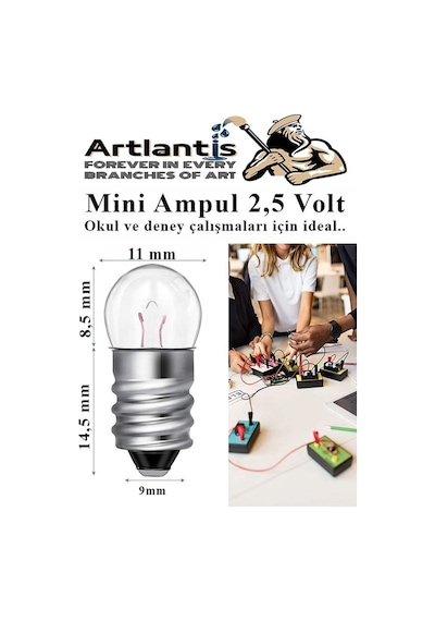 Mini Duy Ve Mini Ampul 1 Adet Elektrik Deney Duyu Ve Ampulü 2.5 V Amup Yuvası Devre Proje Etkinlik Okul Sınıf