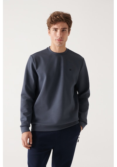 Avva Erkek Antrasit Sweatshirt Bisiklet Yaka Esnek Yumuşak Doku İnterlok Kumaş Standart Fit Normal Kesim B001100 Antrasit