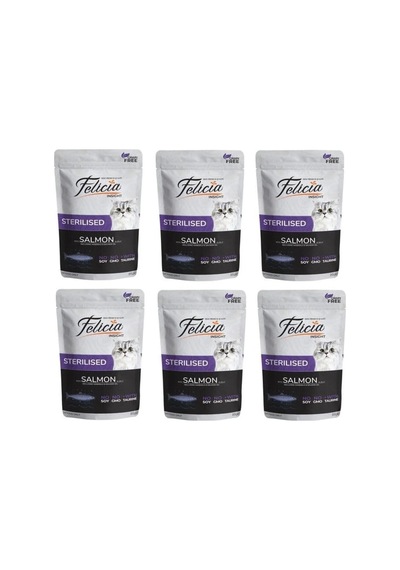 Felicia Kedi Pouch Kısır Somon X 6