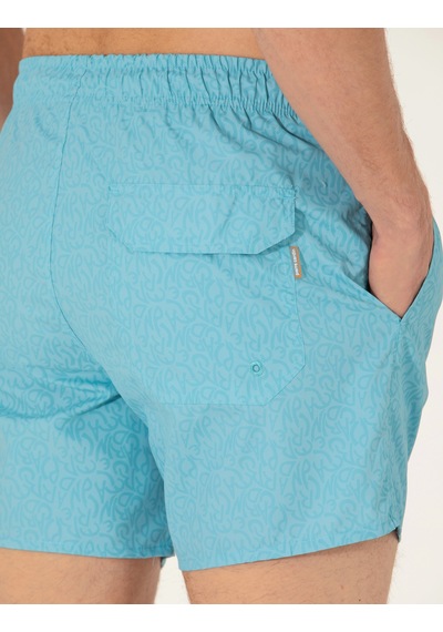 Pierre Cardin Erkek Nil Deniz Şortu 50276031-vr083