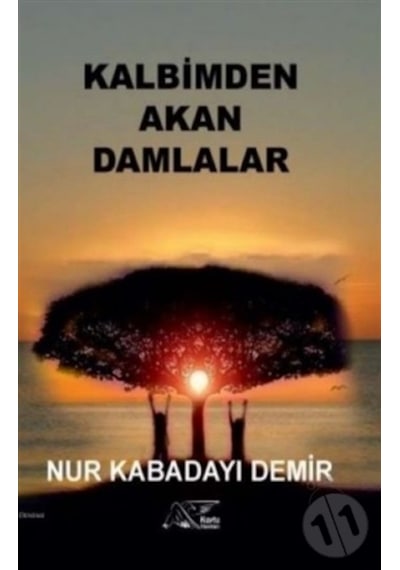 Kalbimden Akan Damlalar - Nur Kabadayı Demir - Kuytu Yayınları