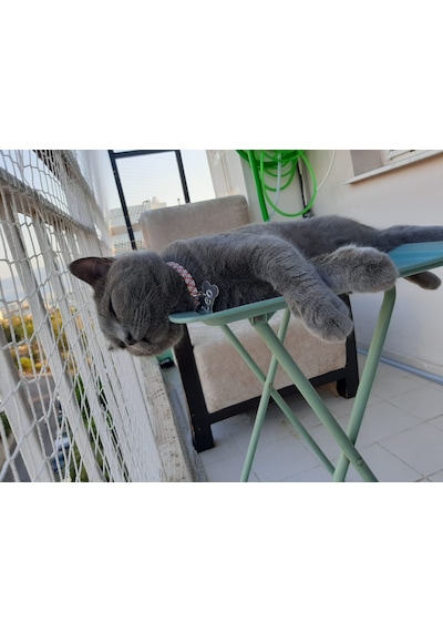 Morilu Balkon Filesi - Kuş Filesi - Kedi Filesi - Kedi Ağı - 2 Cm Gözenekli - 1.5 Mm İp