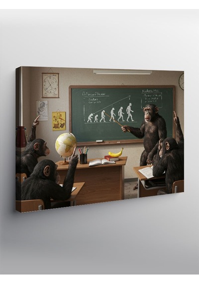 Kanvas Tablo Evrim Ve Eğitim Karikatürü
