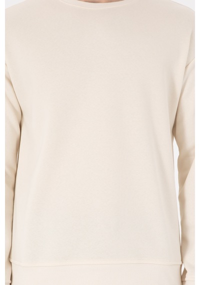 U.S. Polo Assn. Erkek Comfort Fit Bisiklet Yaka Krem Sweatshirt 50293438-VR071