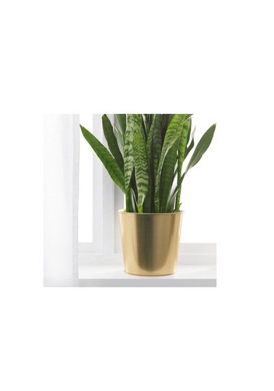 Ikea Daıdaı Çelik Saksı, Pirinç Rengi, 19 Cm -
