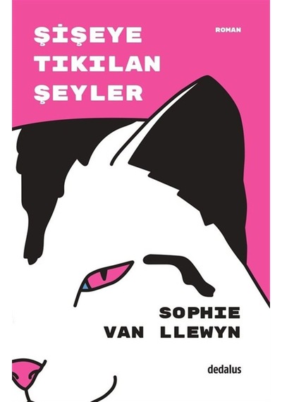 Şişeye Tıkılan Şeyler / Sophie Van Llewyn