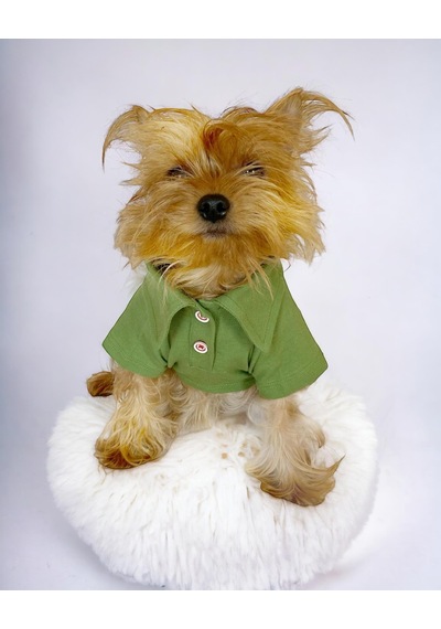 Grass Green Köpek Gömleği Köpek Kıyafeti Köpek Elbisesi