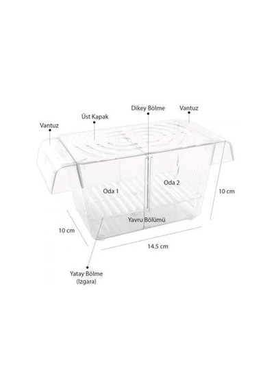 Atlantik Kristal İkili Balık Yavruluğu 14 5 Cm x 10 Cm