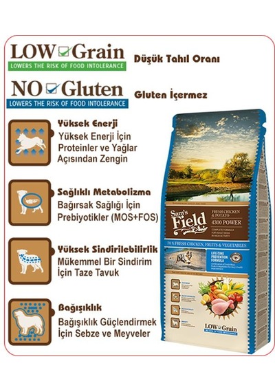 Sam's Field Power 4300 Tavuklu Patatesli Düşük Tahıllı Yetişkin Aktif Köpek Maması 2500 G