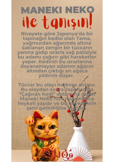 Petjoo 4.Maneki Neko Kırmızı-Gri Qr'lı Kedi Künyesi