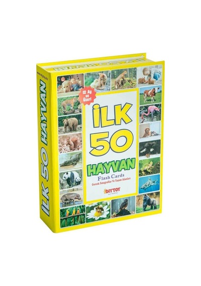 Byrurg 1352 Flash Cards Ilk 50 Hayvan -dıytoy Byrnew