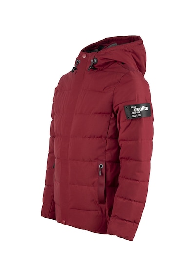 Evolite Vertex Erkek Mont Bordo