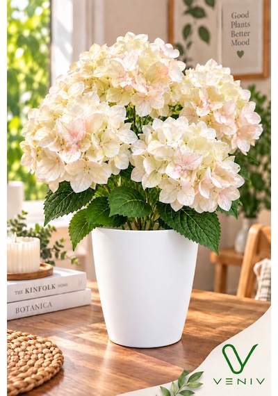 Saksılı Yapay Ortanca Çiçeği 35-40 Cm Krem Fildişi Pudra Pembe Beyaz Saksılı Dekoratif Yapay Çiçek Diğer