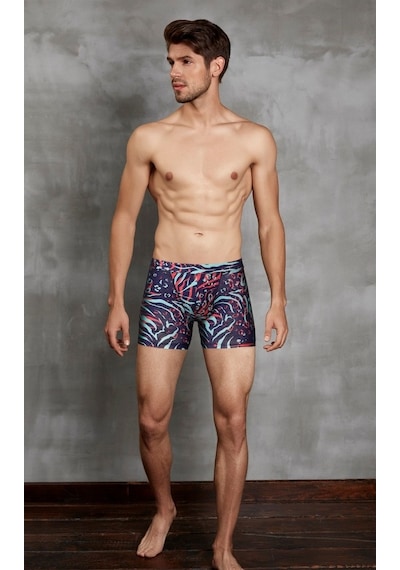 Doreanse Erkek Zebra Baskılı Boxer 1872