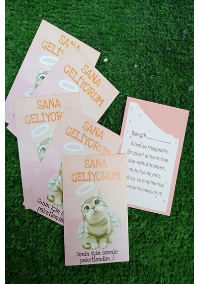 Melek Kedili 100 Adet Tebrik Kartı - Sana Geliyorum Teşekkür Kart