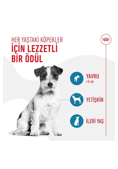Training Treats Köpekler İçin Eğitim Amaçlı Ödül Maması 110g