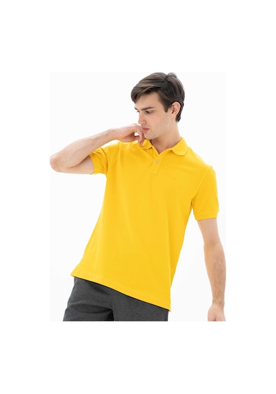 AR-MA Arma Erkek %95 Pamuk Polo Yaka Regular Fit T-shirt Y25374302501 Sarı-s2 Sarı