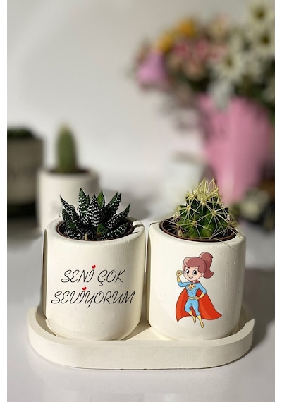 Tabaklı Superwomen Baskılı Mini Saksı Seti Hediyelik Dekoratif