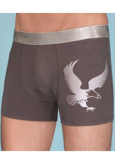 Berrak 1091 Erkek Modal Eagle Boxer Siyah - S Siyah - Füme