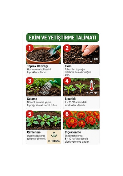 Sunagri Karagöz Kadife Çiçeği Tohumu Saksı Bahçe Bordür Yetiştiriciliğine Uygun 40 Adet