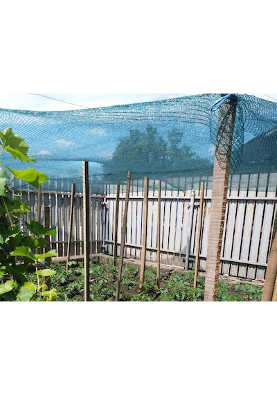 Bahçe Kamelya Gölgelik - 40lık - Yeşil Renk - Şeritli Halkalı