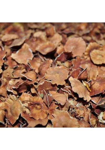 Kara Çalı Pulu 500gr