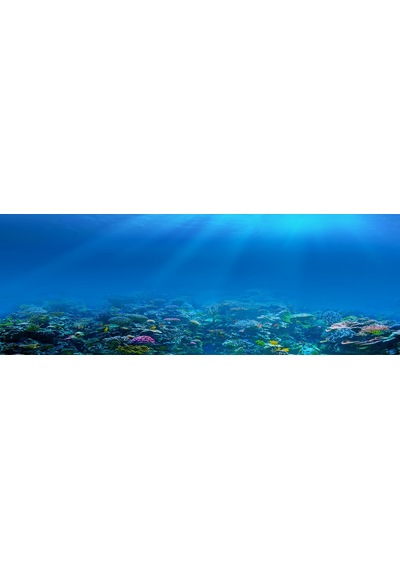 Kanki Pet 185 CM Akvaryum Arka Fon Yapıştırma 185x65 CM