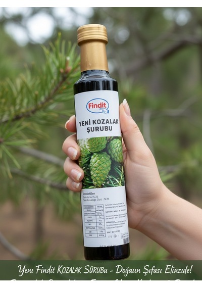 Findit Yeni Kozalak Şurubu - Doğal Bitkisel Destek 250 Ml