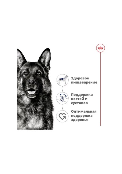 Royal Canın Maxi Adult Büyük Irk Köpekler İçin Pate 1 Adet 410 Gr 257474659