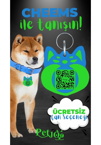 Petjoo 18.Cheems Yeşil-Mavi Qr'lı Köpek Künyesi